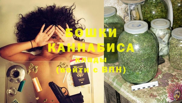 мдпв Вязьма