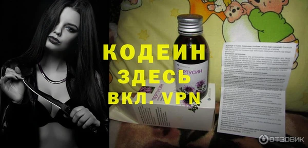 мдпв Вязьма