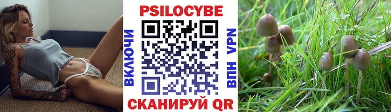 Псилоцибиновые грибы Psilocybine cubensis  блэк спрут ТОР  Южно-Сухокумск 